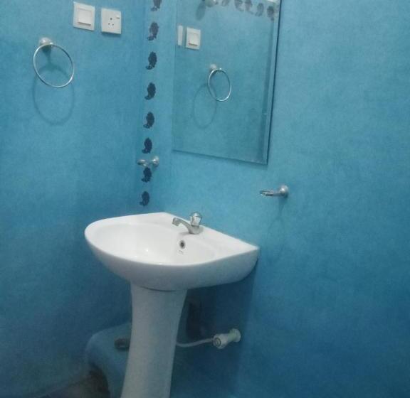 Camera Standard, Moon Light Guest