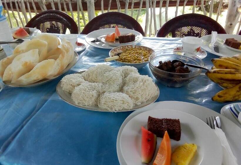 Camera Standard, Moon Light Guest