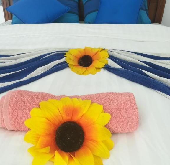 Camera Deluxe con Balcone, Moon Light Guest