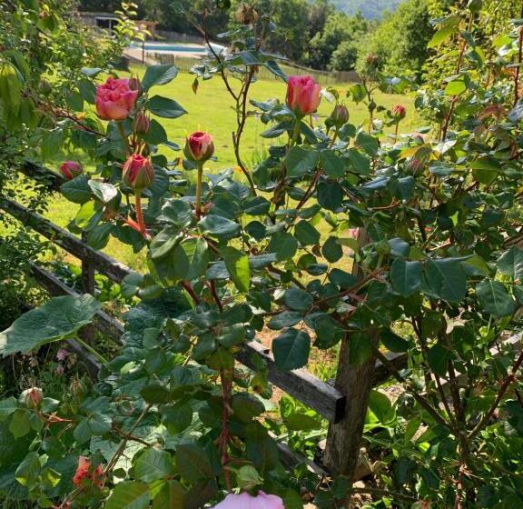 בית, 2 חדרי שינה, Le Mas De La Siffleuse