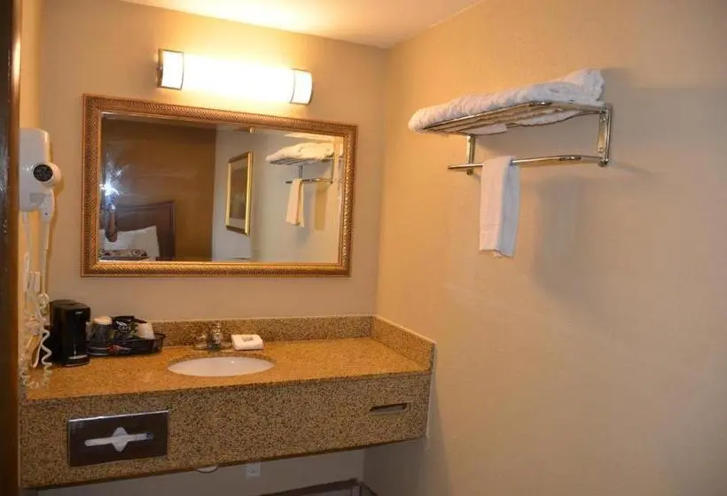 Standard-huone King-vuode, Regency Inn