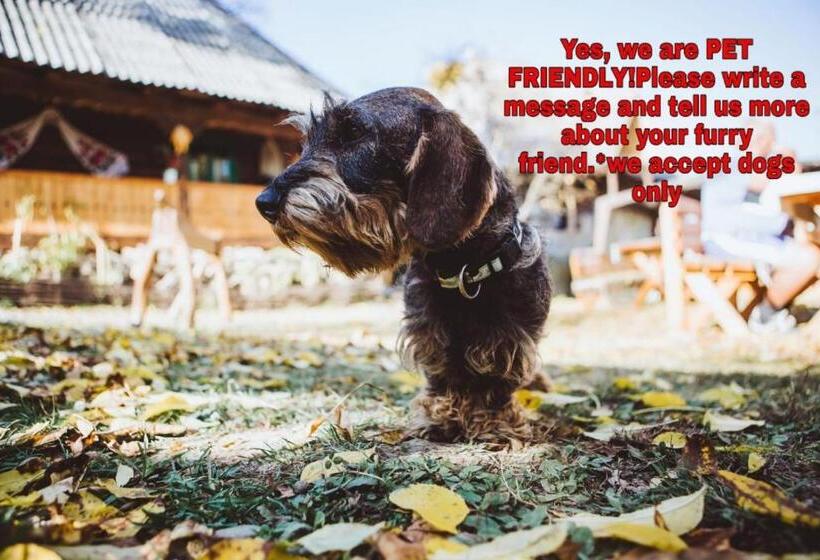 فيلا غرفتين نوم, Complex Tradițional Casa Din Vale