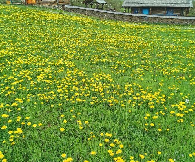 جناح عائلي, Complex Tradițional Casa Din Vale