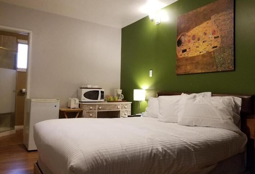 غرفة قياسية, Sun Plaza Motel