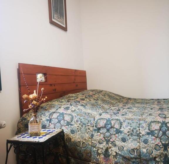 スタンダードルーム, La Rejertilla