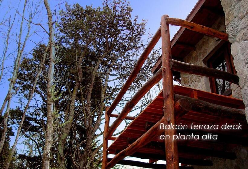 Номер Стандарт, Posada Cobodemar