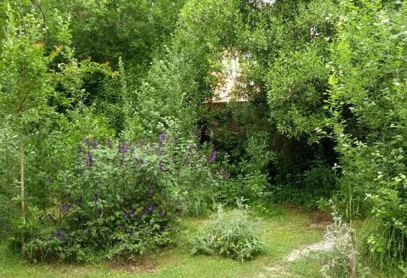 Номер Премиум, Posada Cobodemar