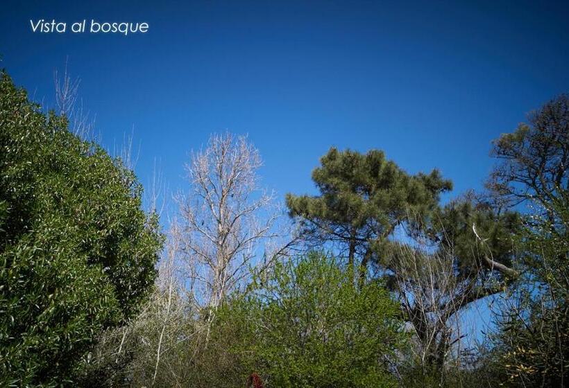 Номер Премиум, Posada Cobodemar