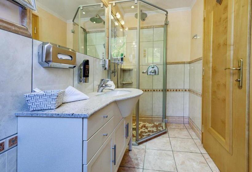 غرفة ديلوكس, Alpinstyle Hotel Ischgl