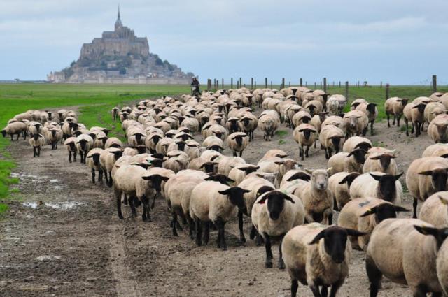 Люкс 2 Спальни, B&b La Rive   Le Mont Saint Michel