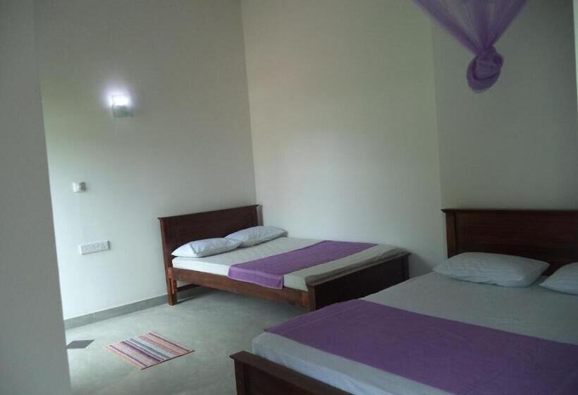 스탠다드 트리플 발코니 룸, My Place Guest House