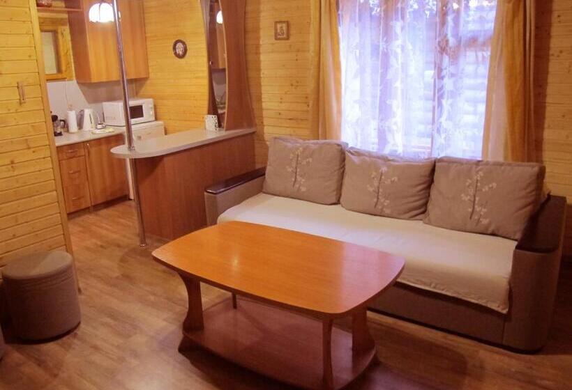 خانه 1 خوابه, Dolyna Gir