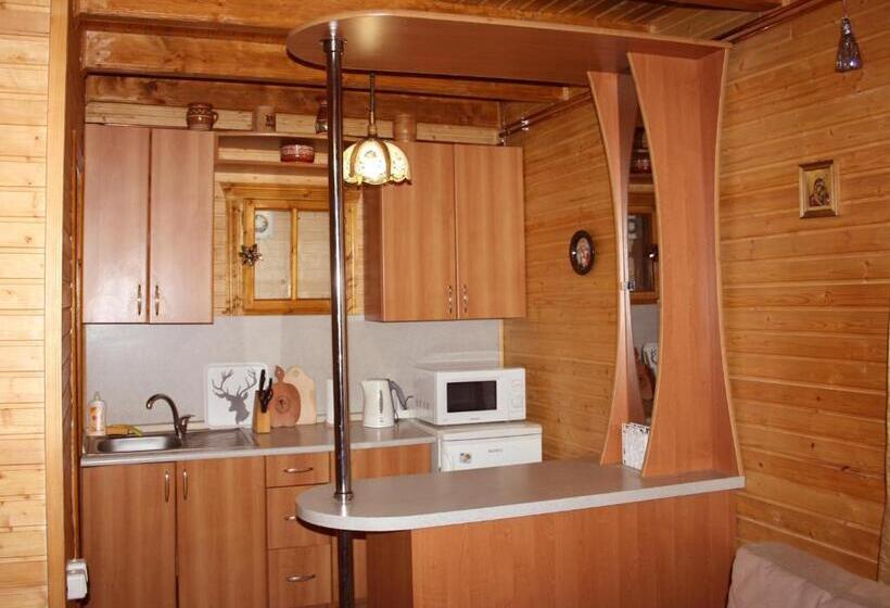 خانه 1 خوابه, Dolyna Gir