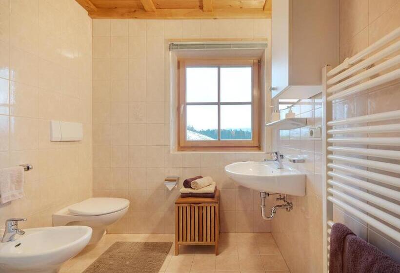 Апартаменты 1 Спальня, Dosserhof