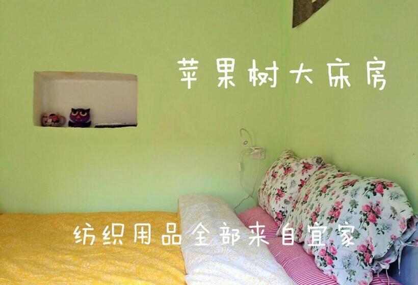 标准间内部标间, Up Air Guest House