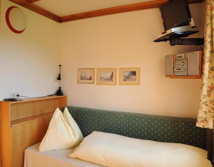 标准单人间, Pension Leitner