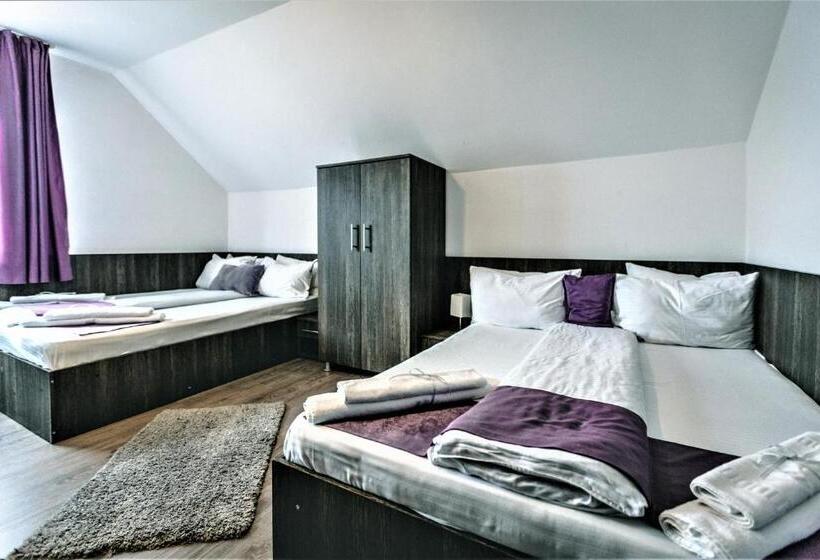 اتاق خانوادگی با چشمانداز کوه, Pensiunea Adriana Straja