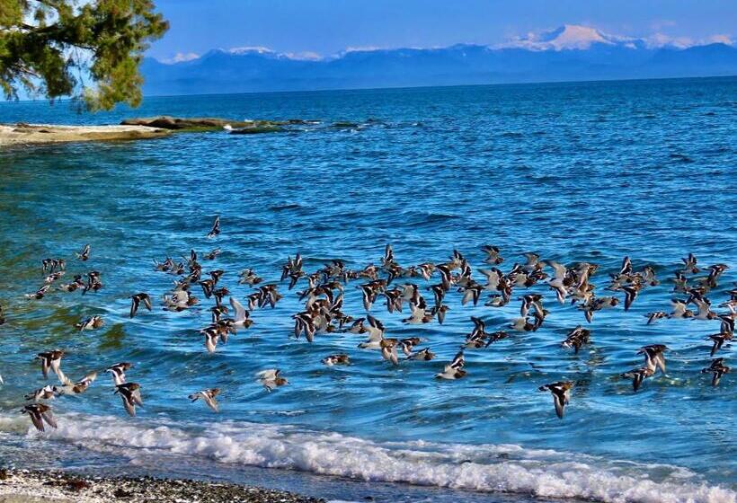 スイート, Telco House B&b