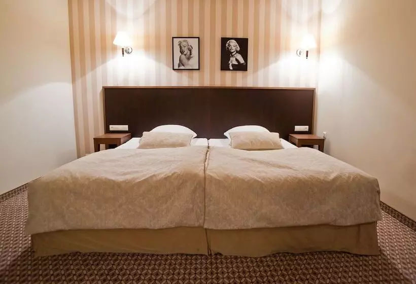 اتاق سوپریور, Afrodyta Business & Spa