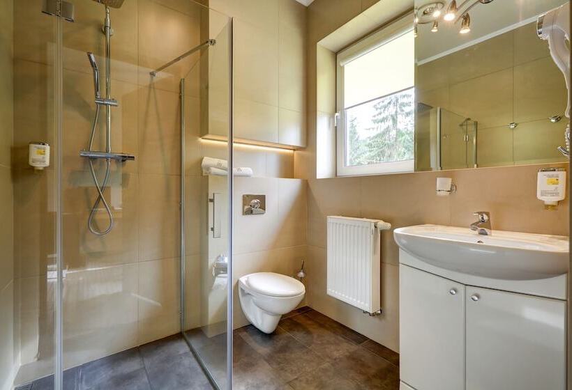 Номер Стандарт Индивидуальный, Afrodyta Business & Spa