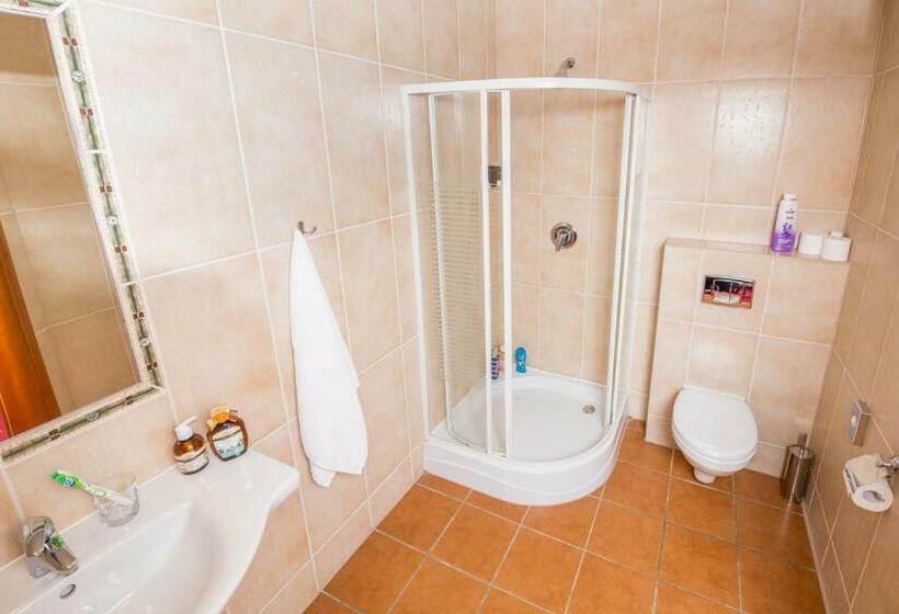 スタンダードルーム, Bastion