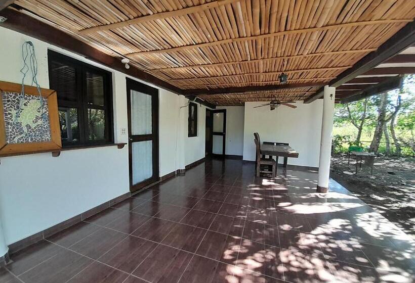 غرفة أساسية, Hibiscus Garden