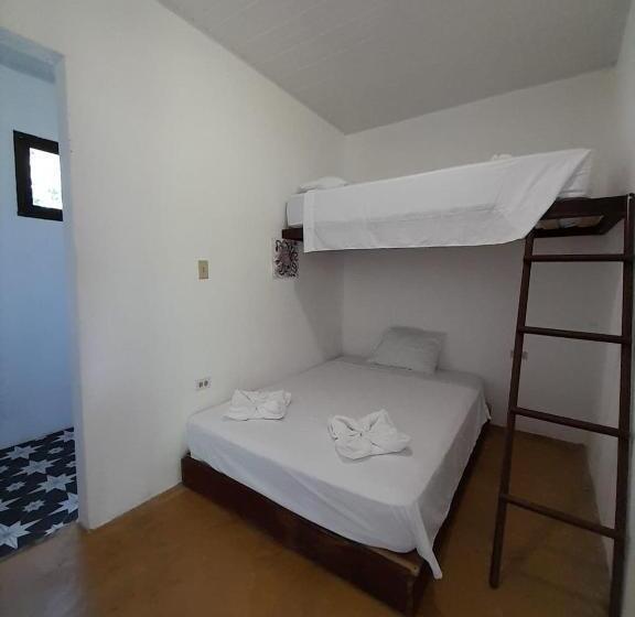 غرفة إقتصادية, Hibiscus Garden