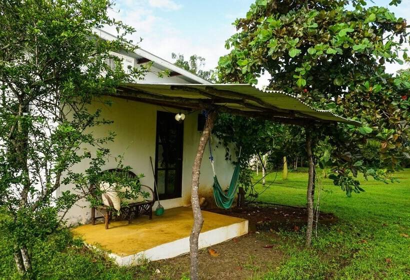 غرفة قياسية مطلّة علي الحديقة, Hibiscus Garden