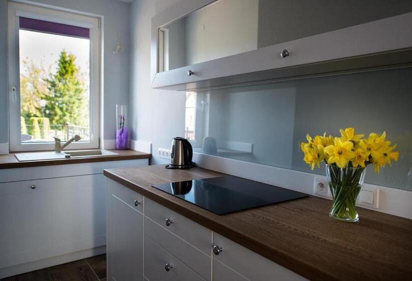 آپارتمان 1 خوابه, Nad Pisą