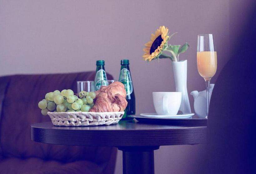 חדר סטודיו סטנדרד, Niemcza Wino & Spa