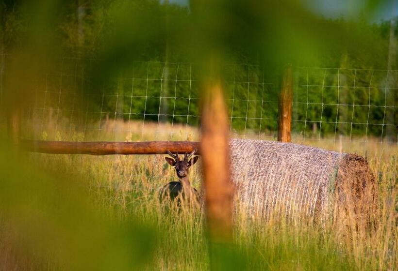 Вилла 1 Спальня Вид на Сад, Pálos Resort