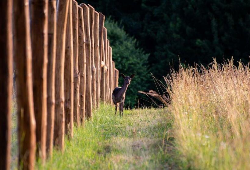 Вилла 1 Спальня Вид на Сад, Pálos Resort