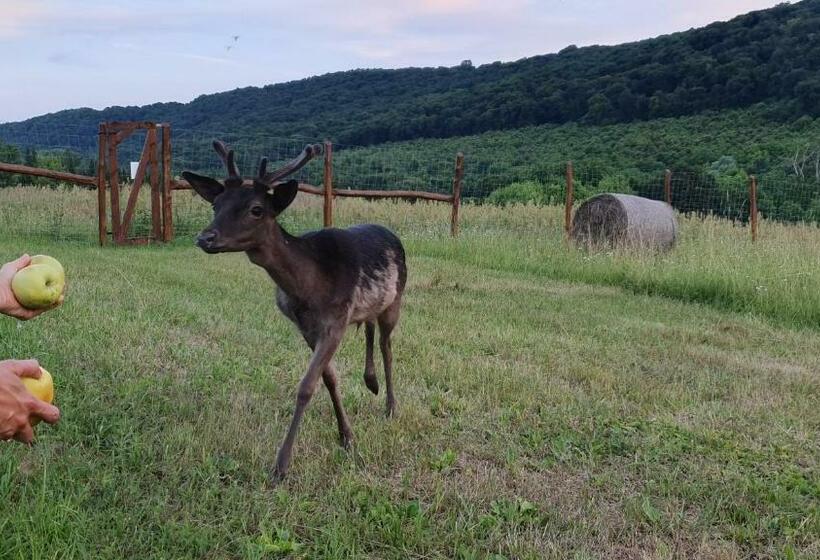 Вилла 1 Спальня Вид на Сад, Pálos Resort