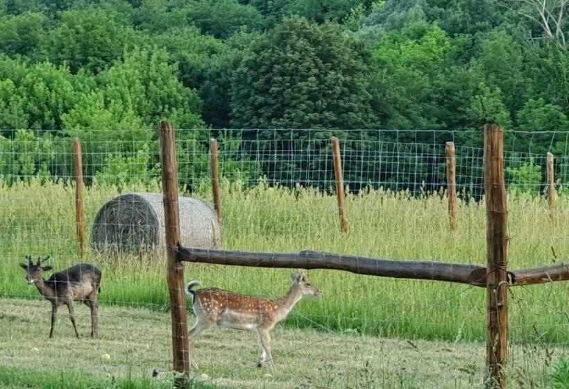 Вилла 1 Спальня Вид на Сад, Pálos Resort