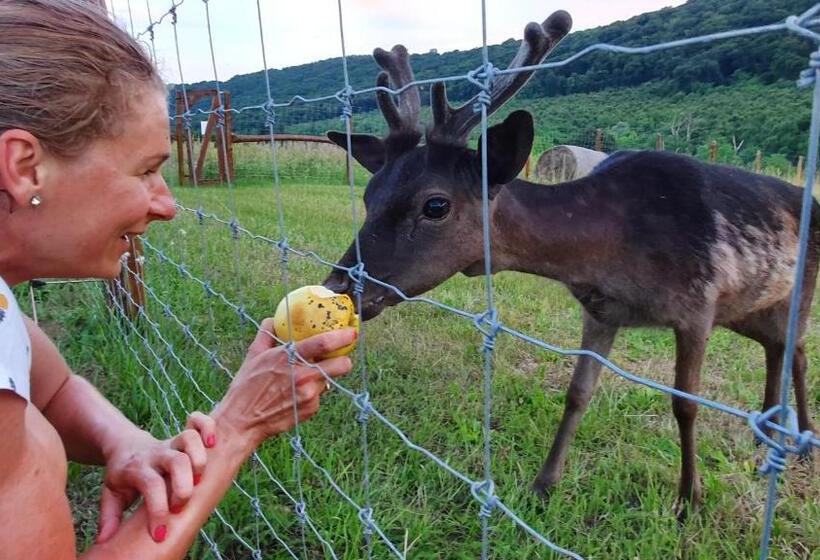 Вилла 1 Спальня Вид на Сад, Pálos Resort