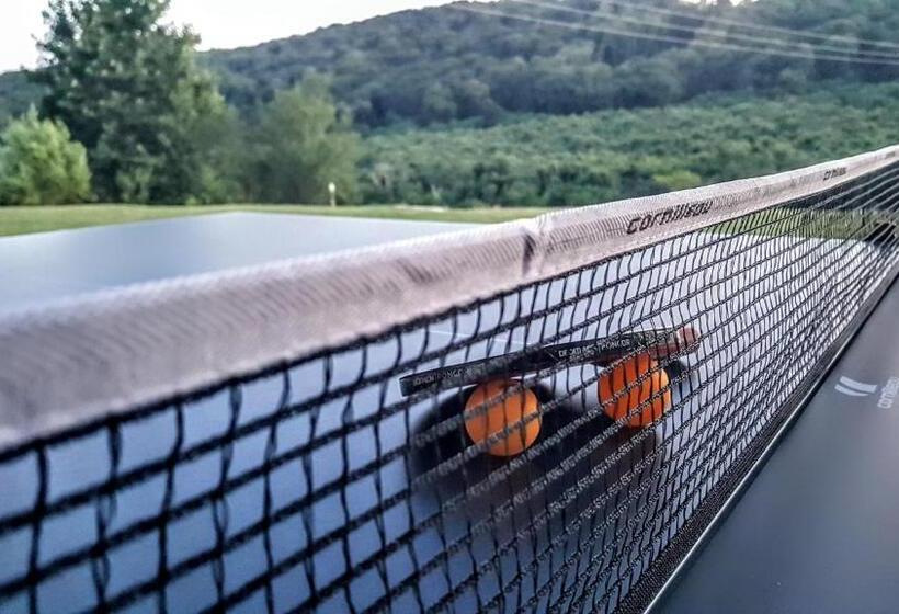 Вилла с 1 спальней и бассейном, Pálos Resort