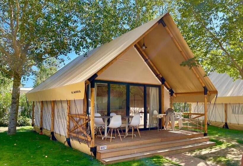 Вилла с 1 спальней и бассейном, Pálos Resort