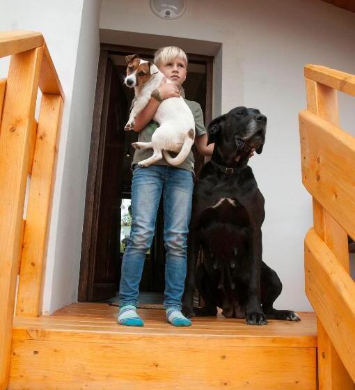 1 Bedroom Penthouse Apartment, Rancho Zapotoczny