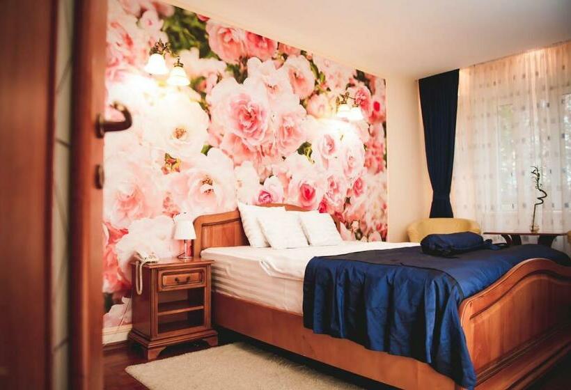 Номер Стандарт, Senator