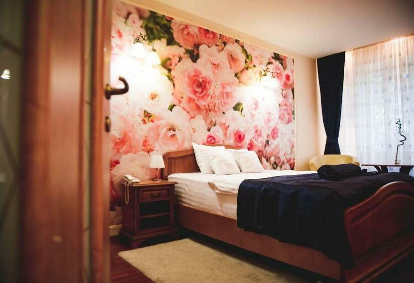 Номер Стандарт, Senator