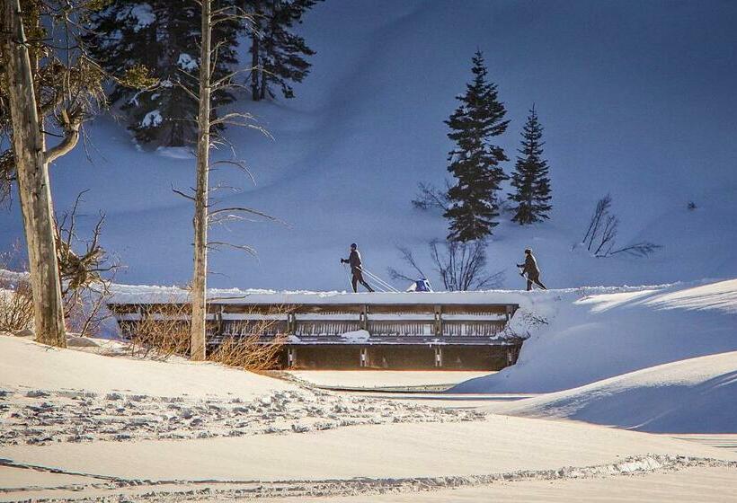 标准工作室, St. Moritz 75