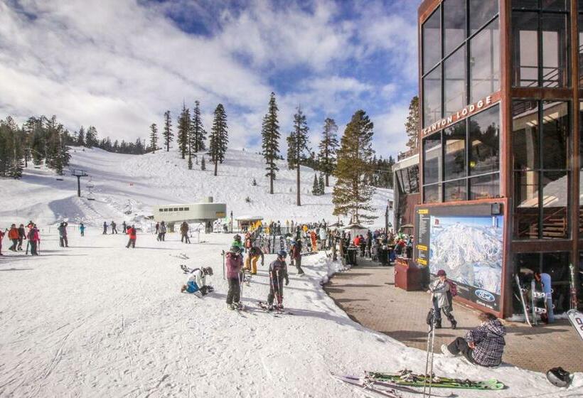 标准工作室, St. Moritz 75