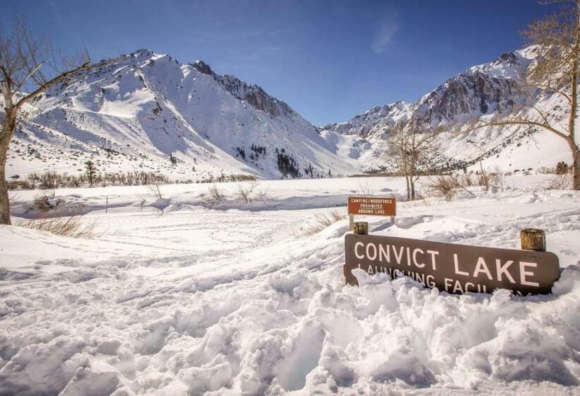 标准工作室, St. Moritz 75