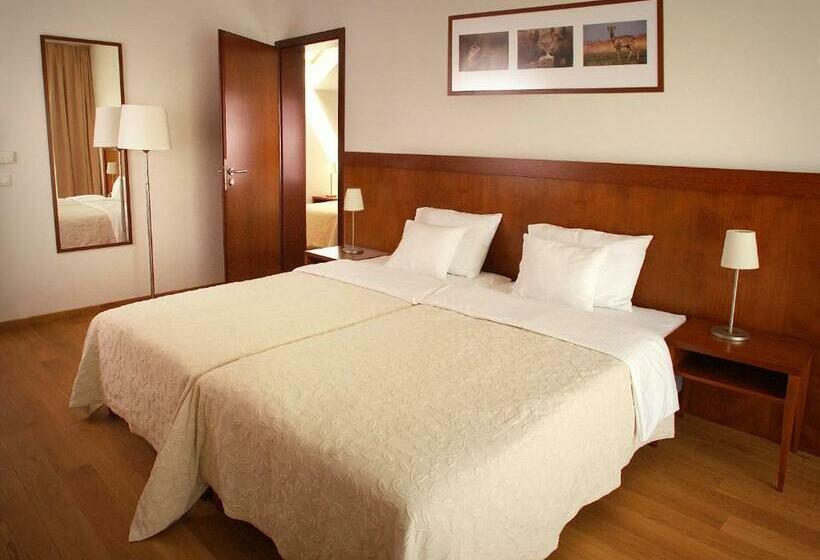 스탠다드 룸, Tisza Balneum