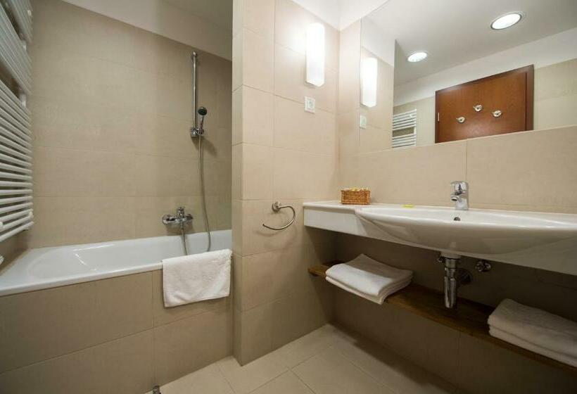 스탠다드 룸 호수 전망, Tisza Balneum