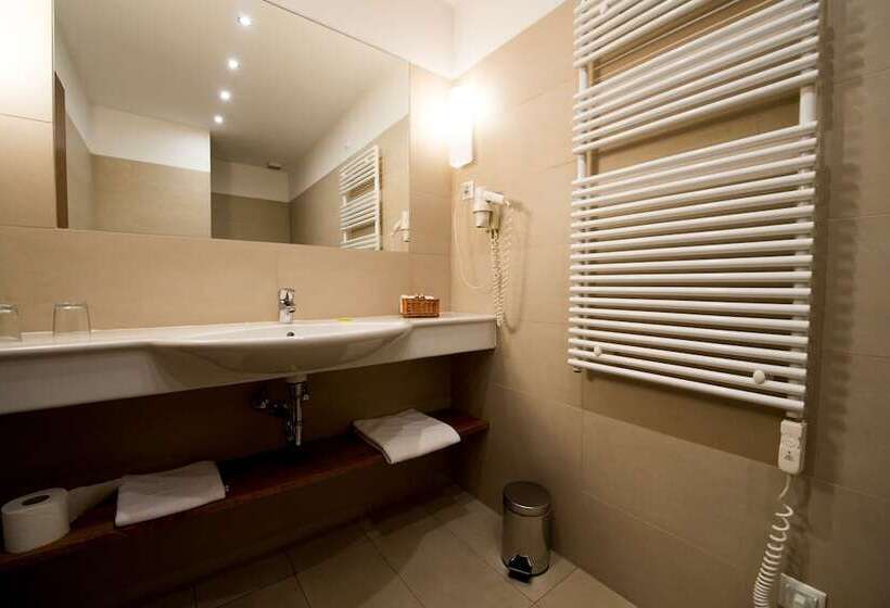 스탠다드 룸, Tisza Balneum