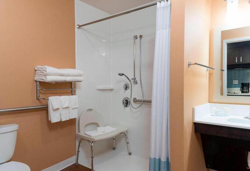 Студия Стандарт, Towneplace Suites By Marriott Ontario Mansfield