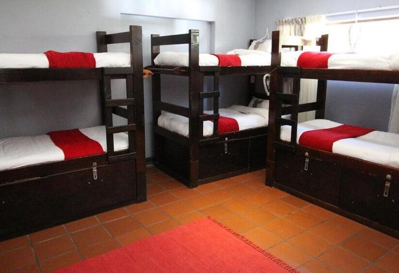 Кровать в Общей Комнате, Mali Boutique Lodge & Tube  N Axe Budget Accommodation