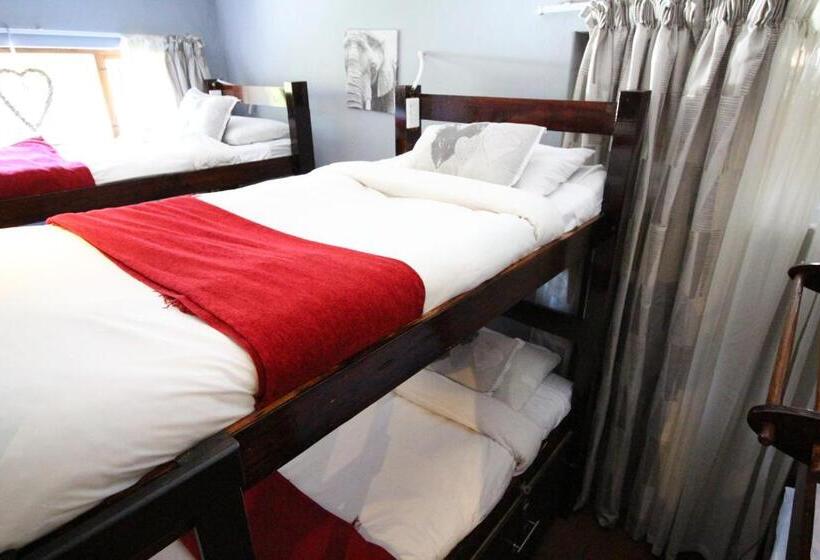 Кровать в Общей Комнате, Mali Boutique Lodge & Tube  N Axe Budget Accommodation