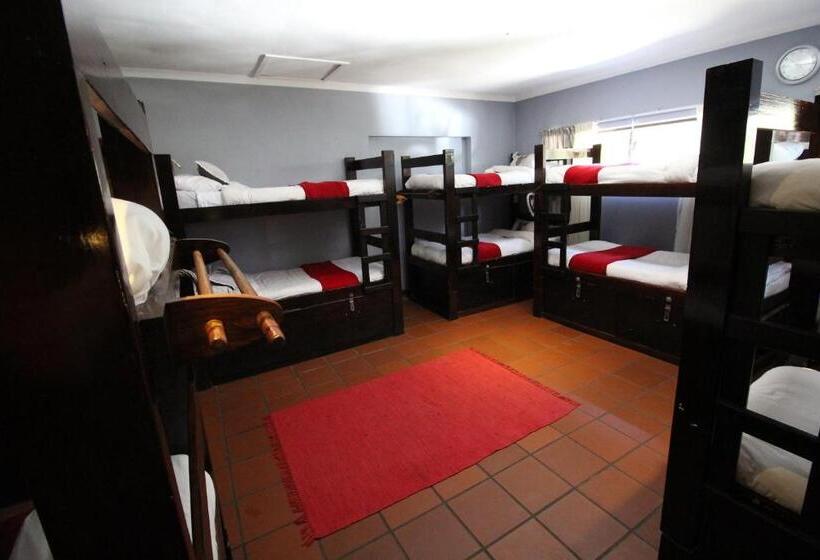 Кровать в Общей Комнате, Mali Boutique Lodge & Tube  N Axe Budget Accommodation